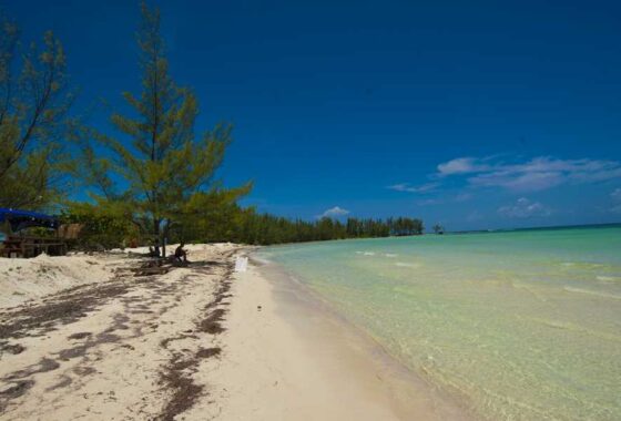 66731 EIGHT ACRES FREEPORT LUCAYA