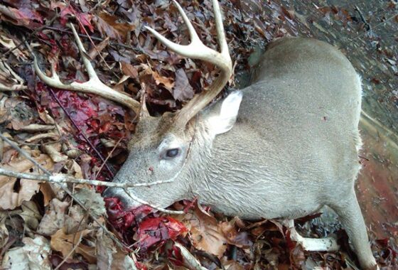 67158 Co. Rd. 2, Wilcox Co., Al