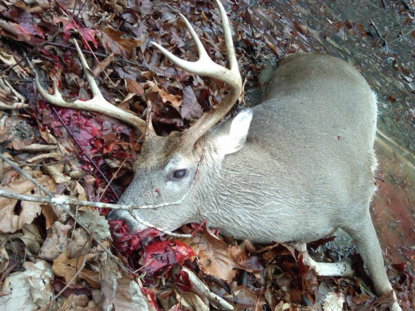 67158 Co. Rd. 2, Wilcox Co., Al