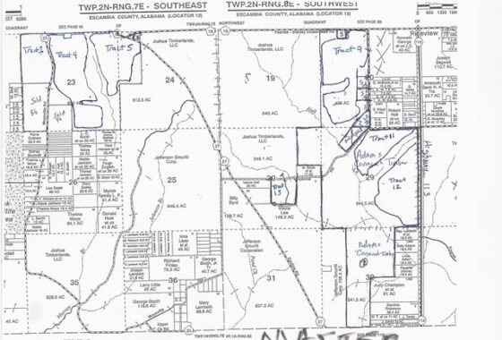 67202 Hwy 113, Flomaton, Escambia County