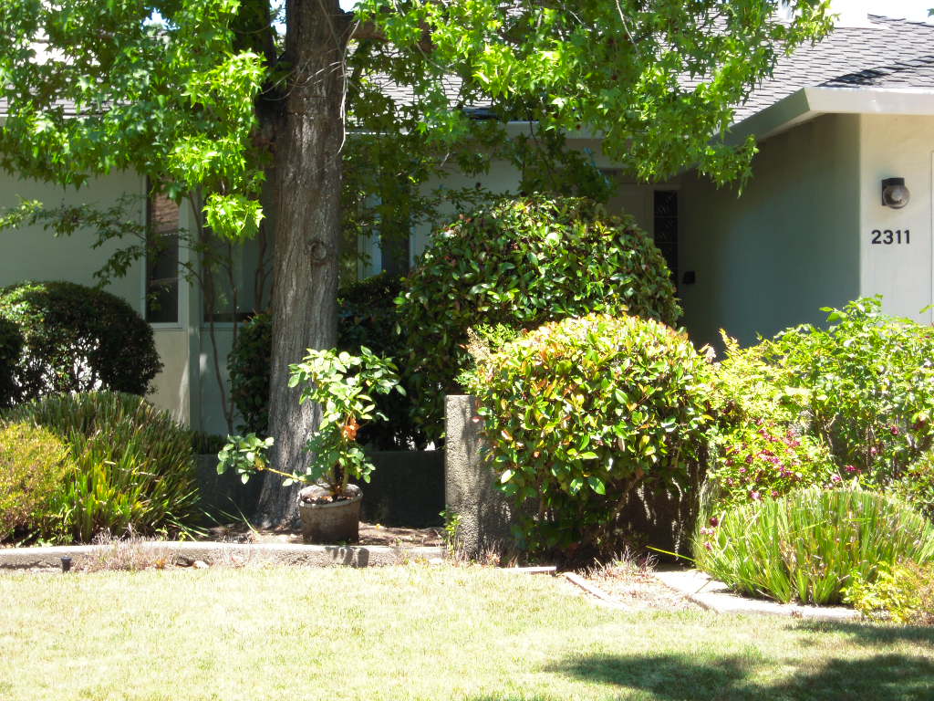 67423 2311 Bryant Street