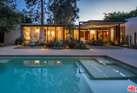 9406C1625691427893 9557 Lime Orchard